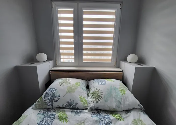 Seagull كولوبرزيغ