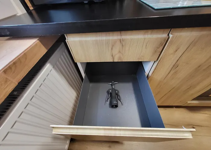 Seagull * كولوبرزيغ