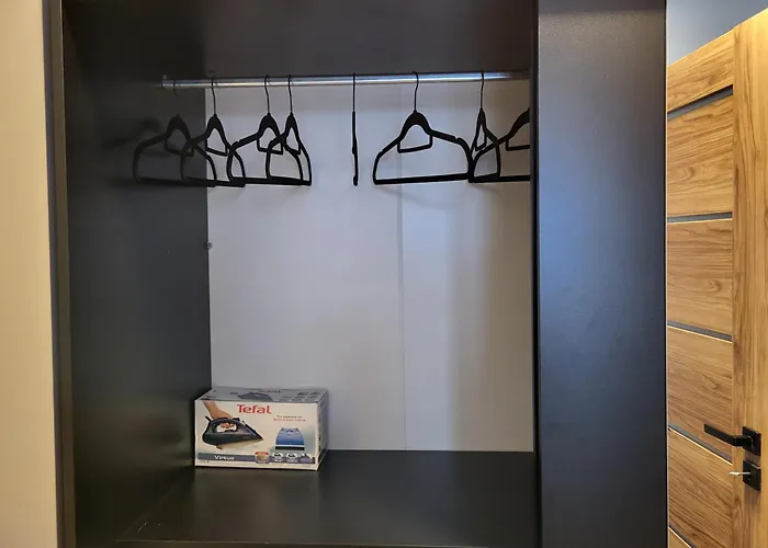 Seagull * كولوبرزيغ