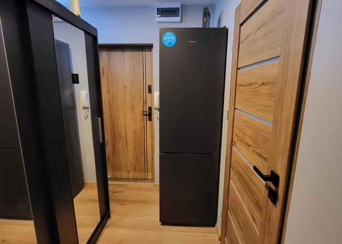 Seagull * كولوبرزيغ