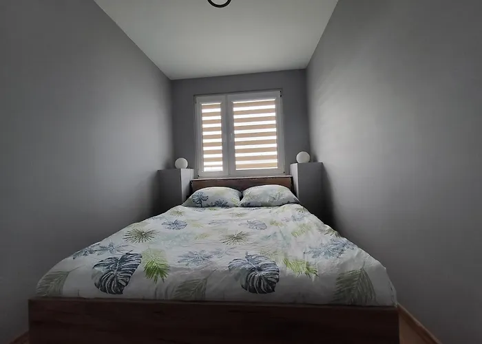 Seagull * كولوبرزيغ