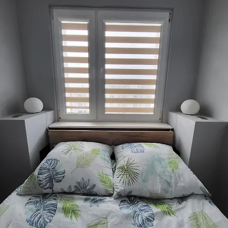 Seagull Колобжег