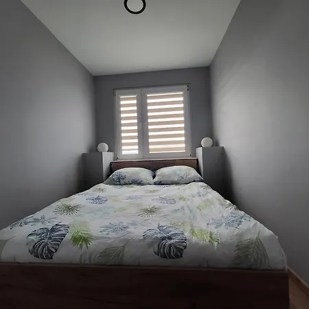 Seagull * Колобжег